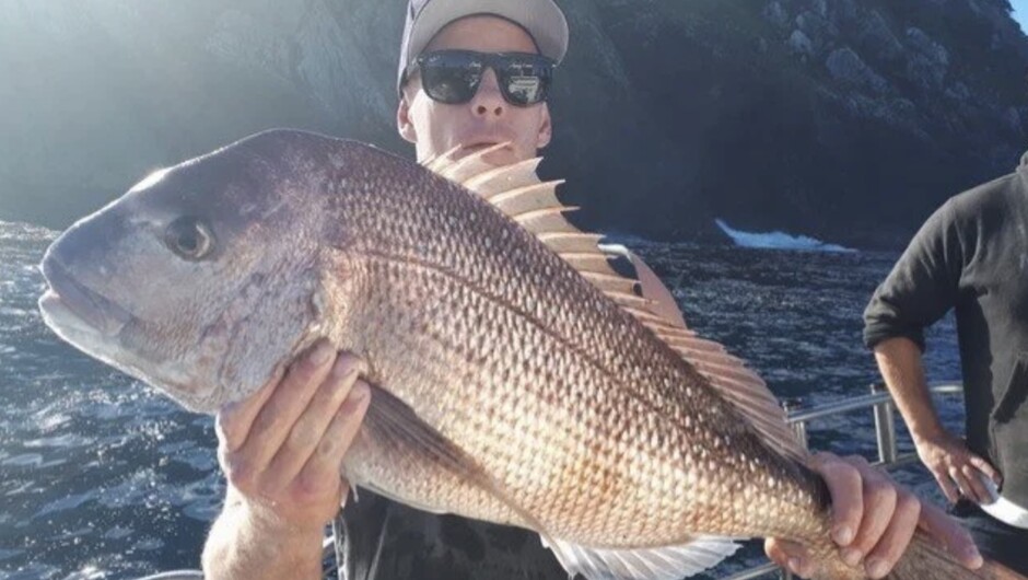 Have your chance to catch and eat snapper or kingfish in the same day