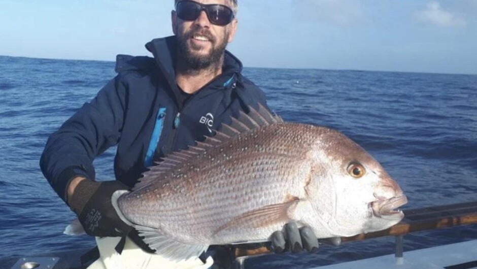 Snapper Fishing - Tauranga