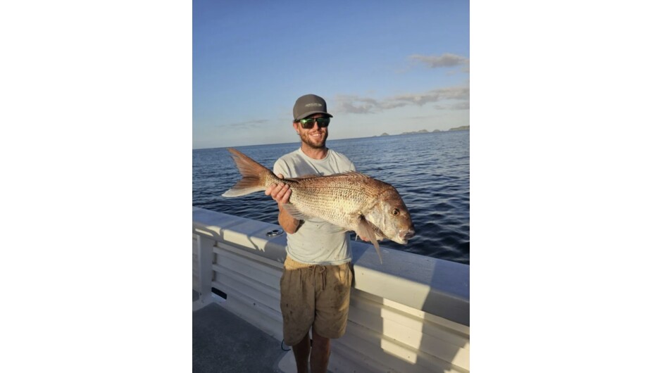 Snapper - Eat the freshest fish you will ever taste!