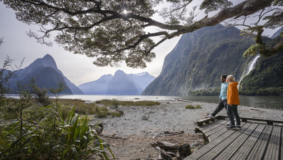 Discover Mitre Peak and Milford Sound on an active day out with Trips &amp; Tramps, the local team from Te Anau