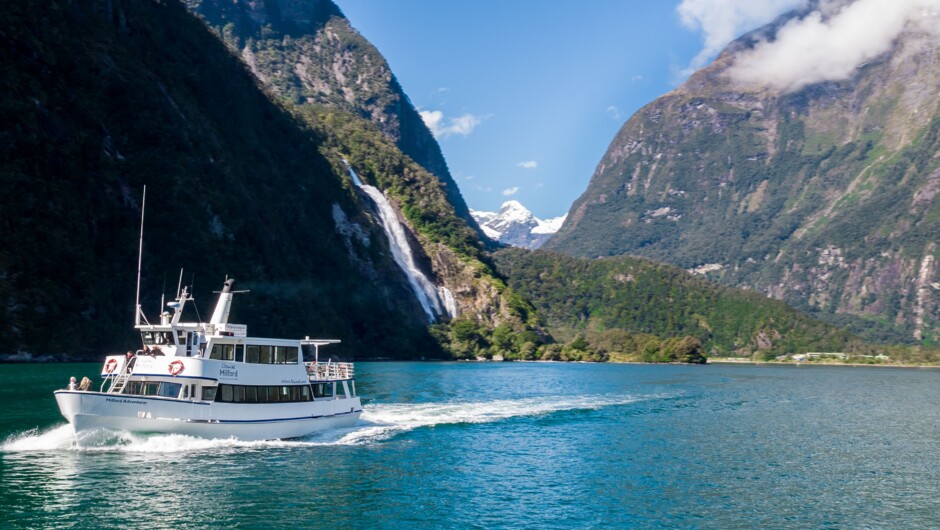 Cruise Milford Sound early morning on a boutique small-boat cruise