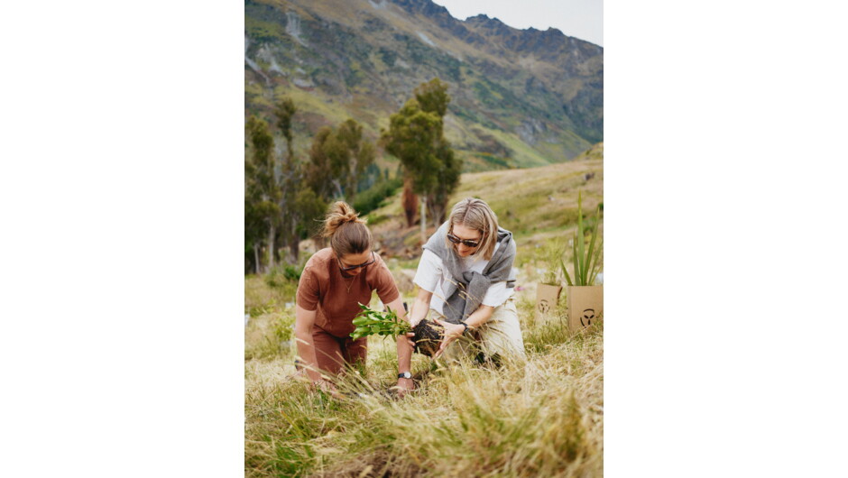 Walter Peak Gardent to Table planting
