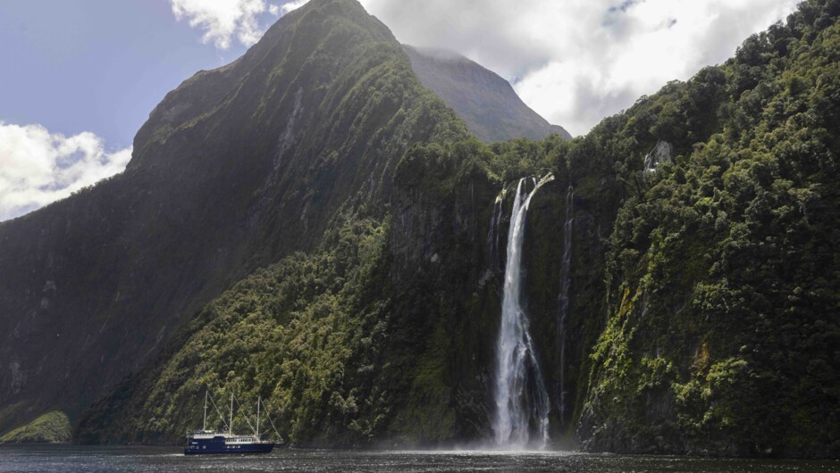 Milford Sound Day Trip cruise