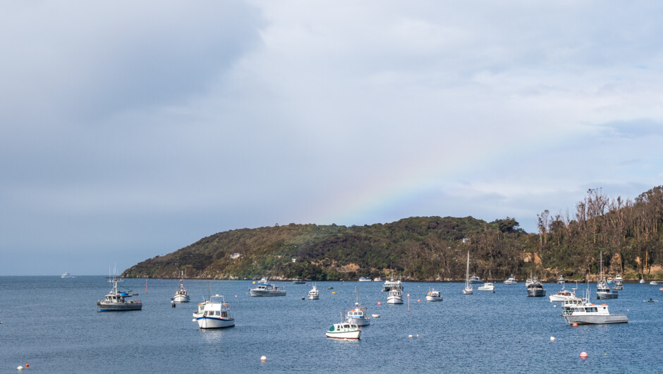 Rakiura Stewart Island Village &amp; Bays Tour views