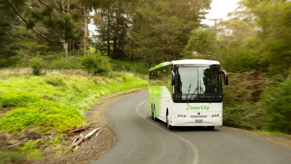 InterCity bus driving in NZ