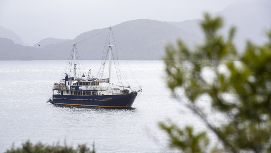 Discovery Expedition The Mariner