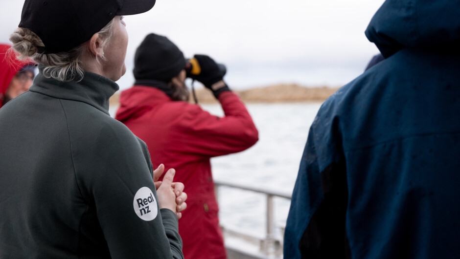 Rakiura Stewart Island Wild Kiwi Encounters cruise
