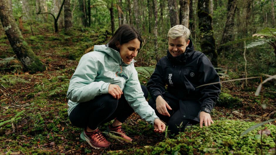 Ulva Island Explorer nature guide