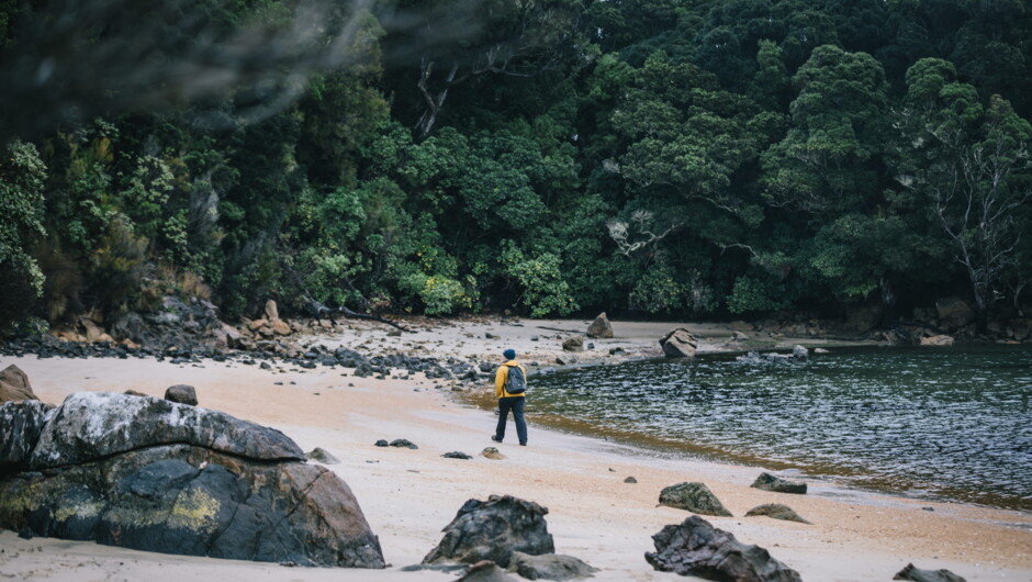 Ulva Island Explorer walk