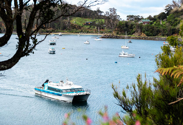 Rakiura Stewart Island Ferry services offer scheduled daily departures on board our express catamarans between Bluff and Rakiura Stewart Island (all year). During the one-hour crossing look out for wildlife.