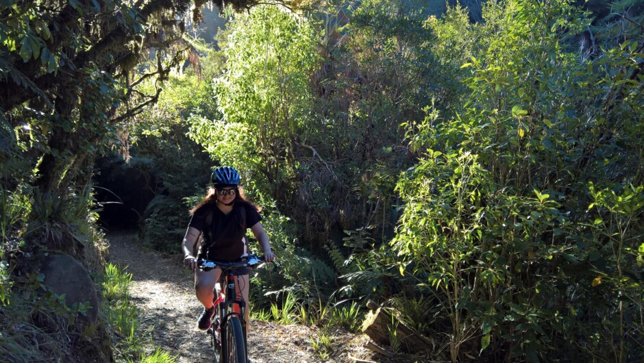 Old Coach Road Bush