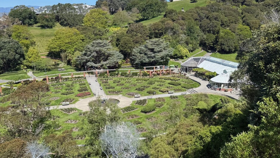 Wellington Botanic Garden Rose garden (about to bloom) and Begonia House