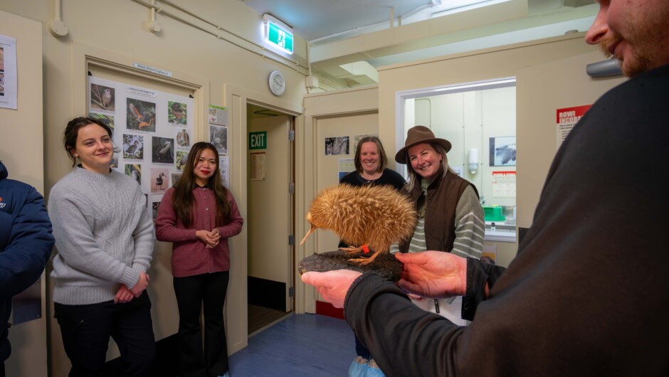 Down in the Kiwi Hatching &amp; Incubation Area