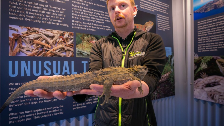 Meet Devon - our incredible Wildlife Manager