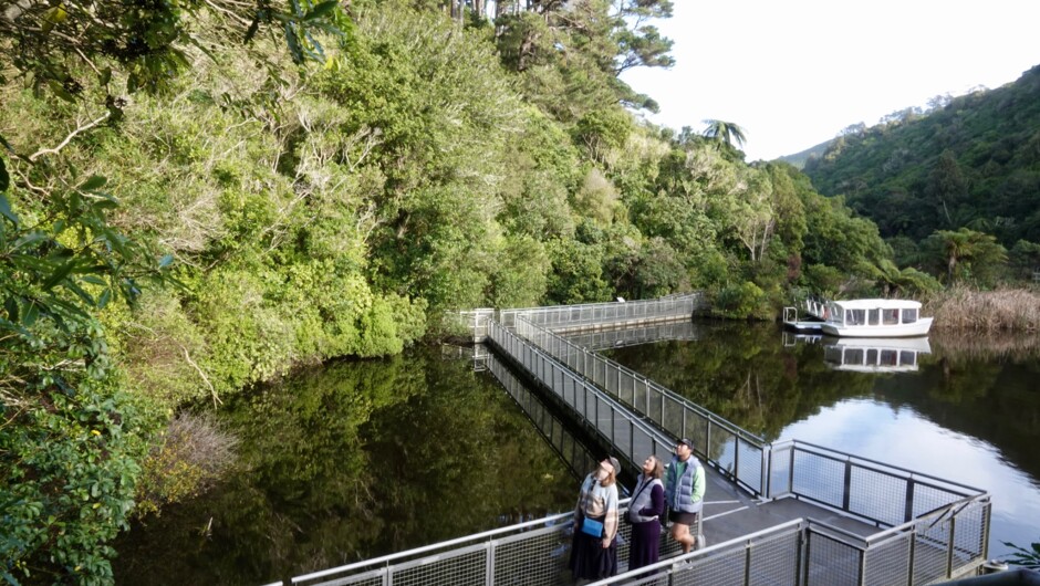 Visitors on the pontoon at Zealandia
