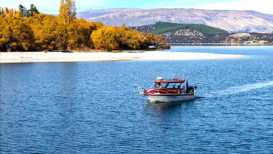 Cruising past Lake Wānaka's golden shoreline