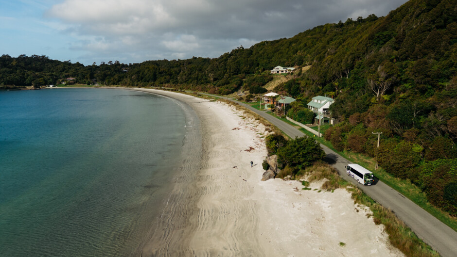 Rakiura in a Day - Birds and Bays