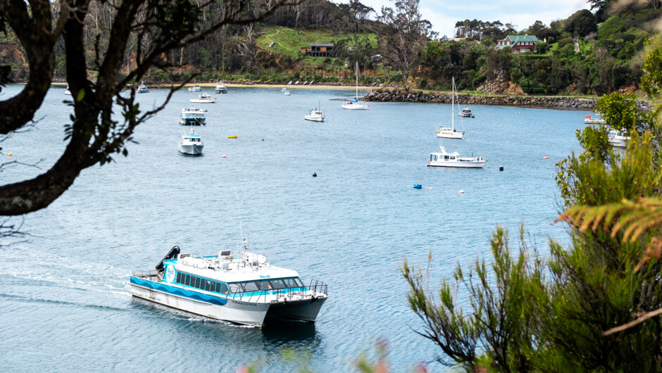 Rakiura in a Day - Stewart Island Ferry