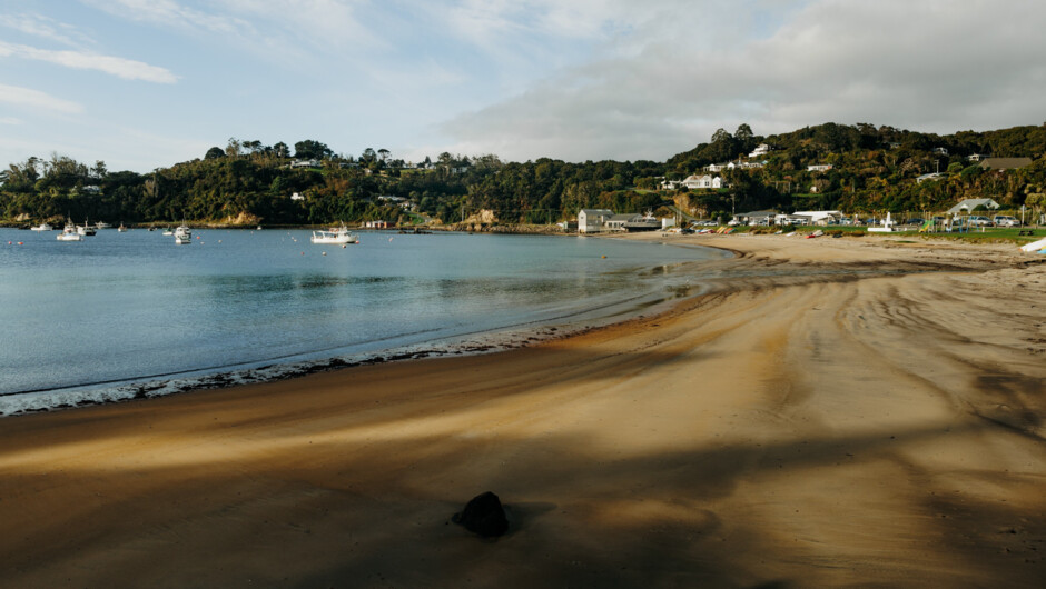 Rakiura in a Day – Coast and Culture