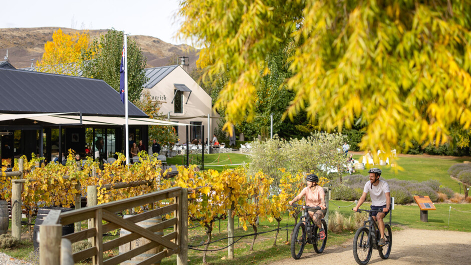 Join the thousands of cyclists who have made Carrick a memorable part of their Central Otago cycling experience - whether you’re setting out on, or finishing the Kawarau Gorge Trail, arriving as a highlight stop on the iconic Lake Dunstan Trail, or adding