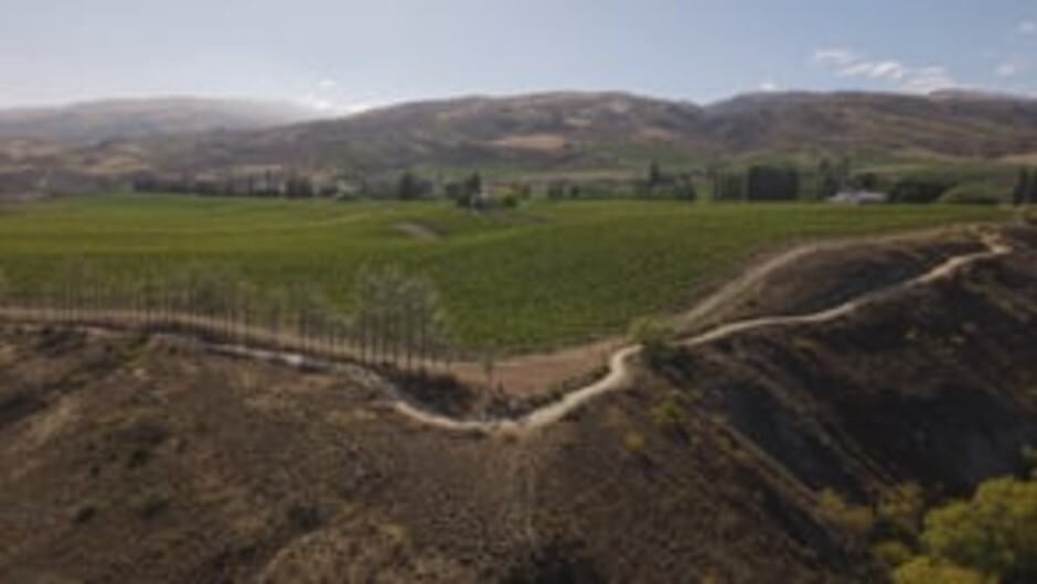 Carrick Winery-Landscape-Bike riding along the Dunstan Trail 2026