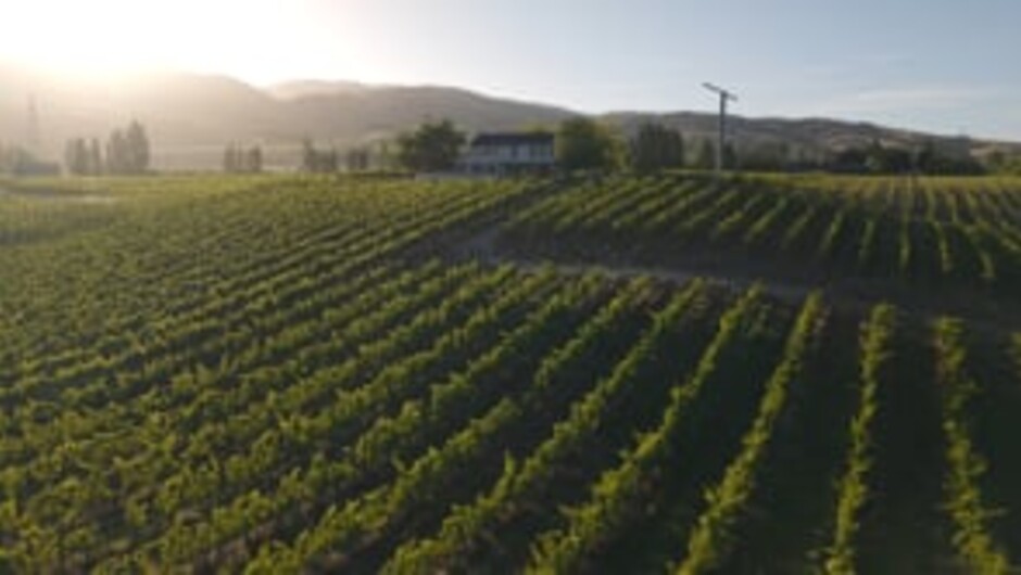 Carrick Winery-Landscape-Our Winemaking ethos with Rosie Jaffe-Menzies, Vinemaker