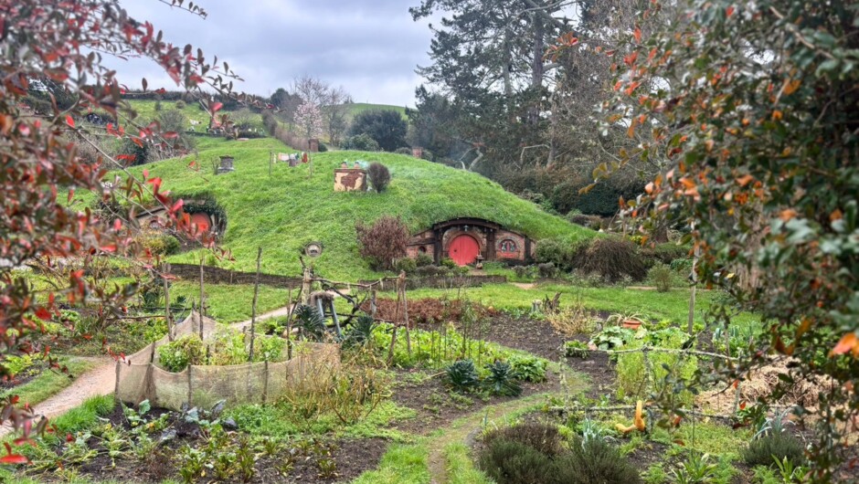 Private Hobbiton Waitomo Day Tour With Japanese Speaking Guide 