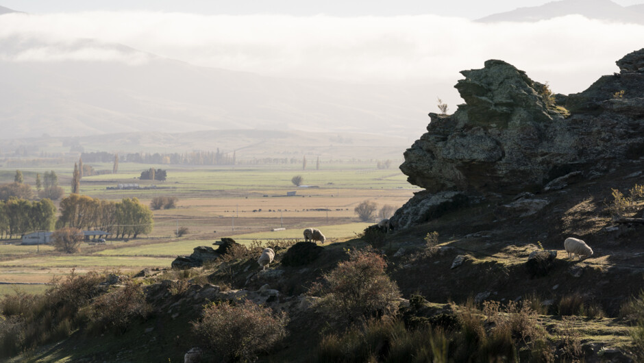 Otago Central Rail Trail