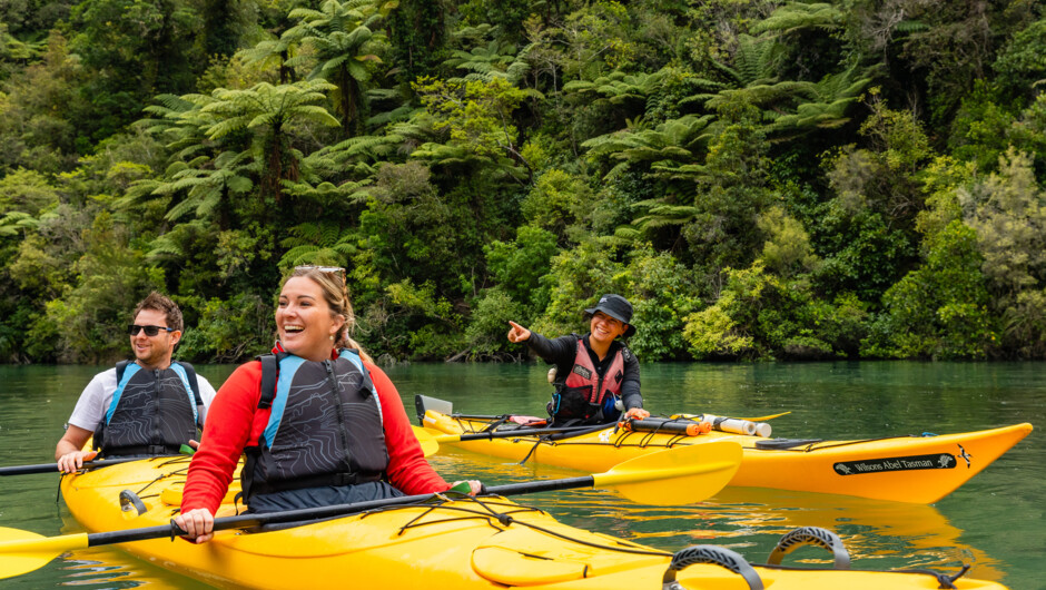 Guided sea kayaking with Wilsons Abel Tasman