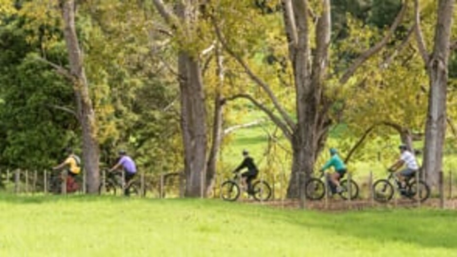 Twin Coast Cycle Trail  LV - 2