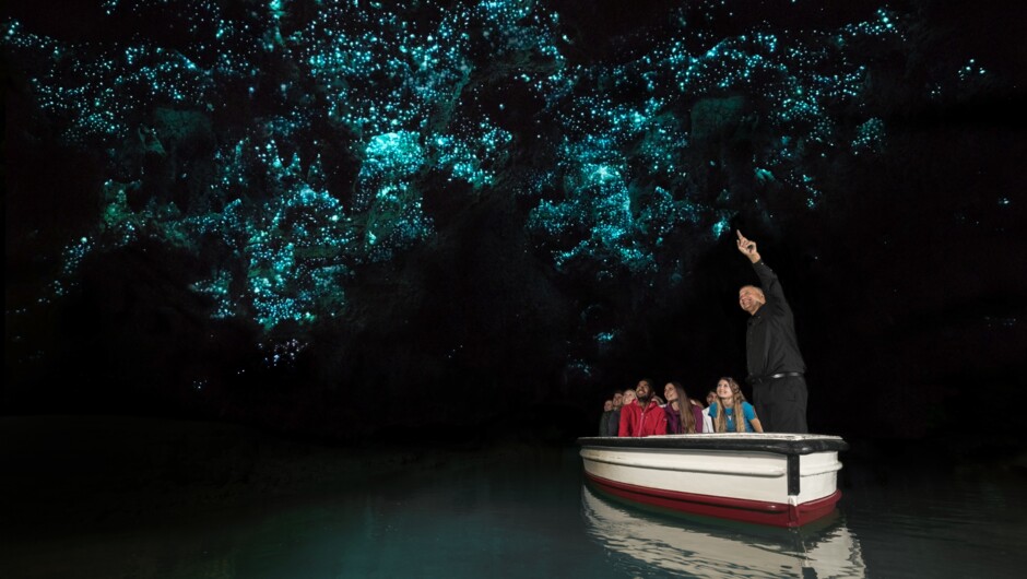 Waitomo Glowworm Cave
