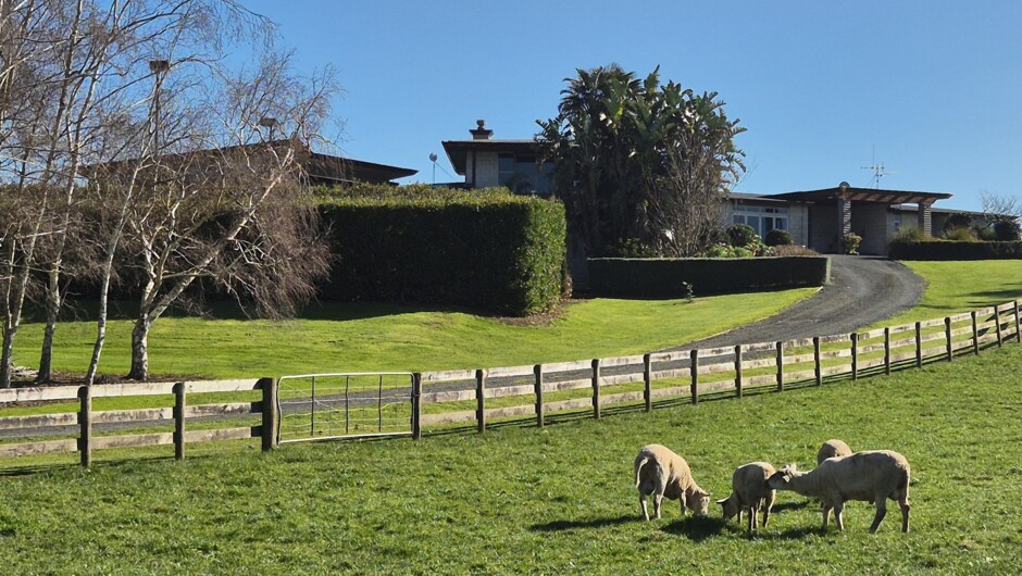 Waikato Country Stay