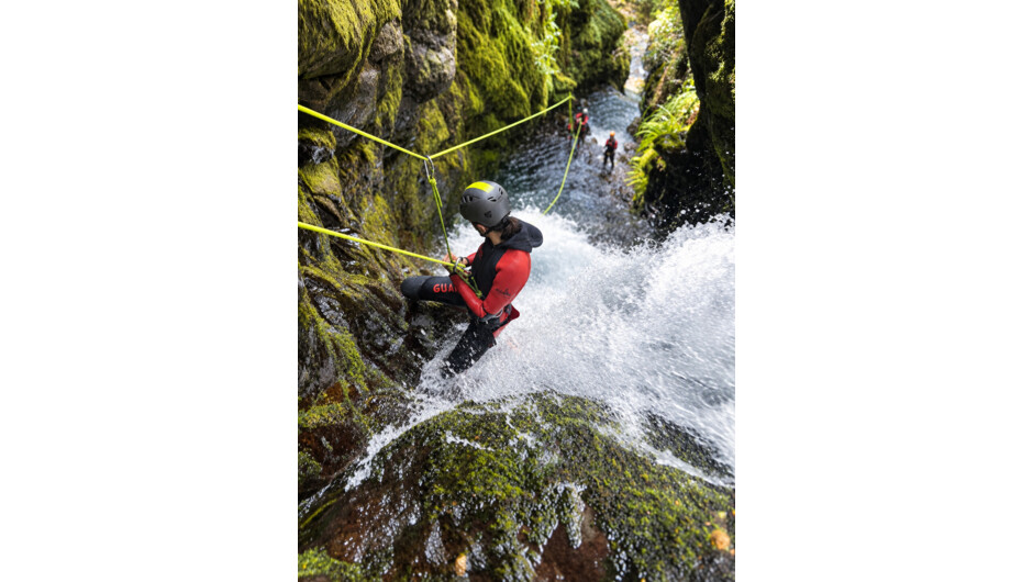 Into the flow