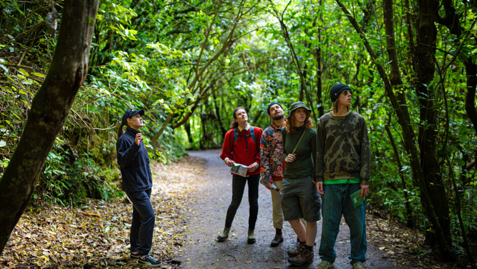 Your guide will show you the wonders of the valley, wildlife and the plants that sustain them.