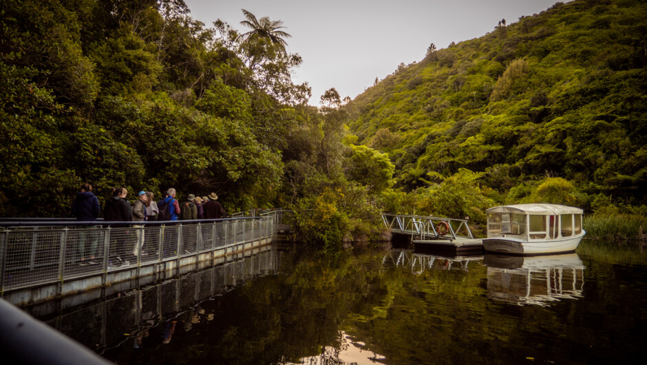 See freshwater and forest restoration in action.