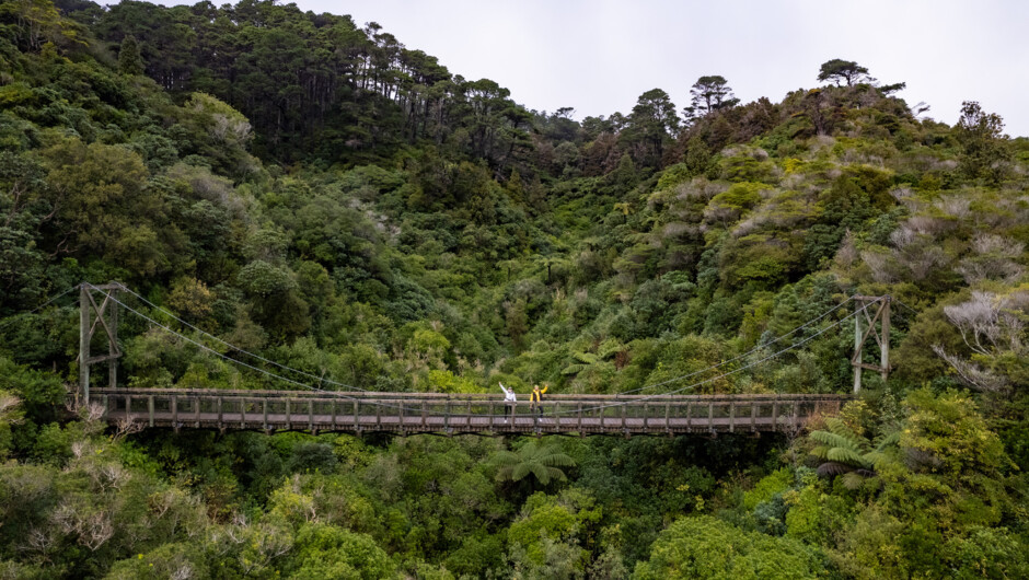 Cross the suspension bridge and see the valley expand below you. View the forest from above the canopy and see birds soaring in the sky above.