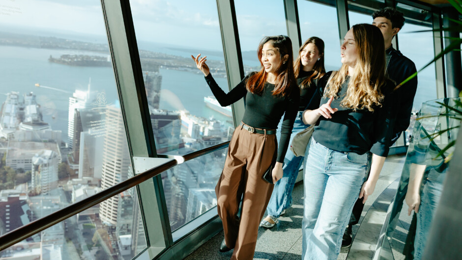 Sky Tower view from the main observation level