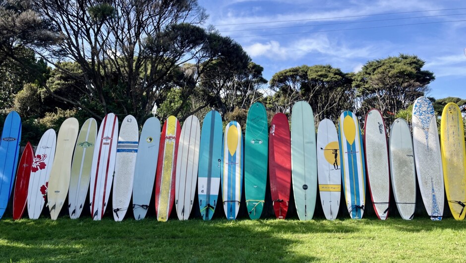 Longboard line-up! Take a look at a few of the longboards available to rent!