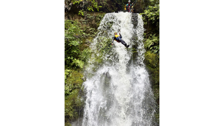 Tūī Zipline