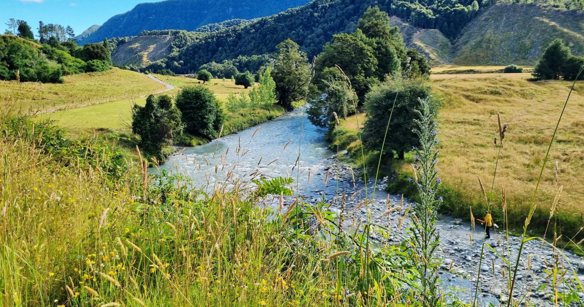 Wilderbliss - Private Accommodation for Fishing & Hunting Tours ...