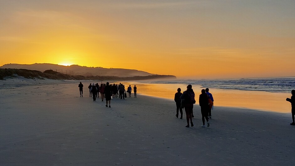 A peaceful morning walk along St Clair Beach as the sun rises over the Pacific Ocean, followed by yoga on the sand.