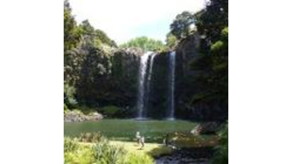 Whangarei Tours