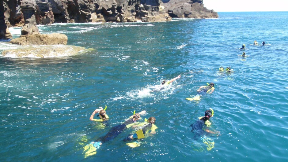 ホエール島周辺でシュノーケリング