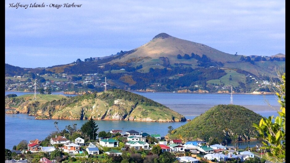 ハーバーの眺め