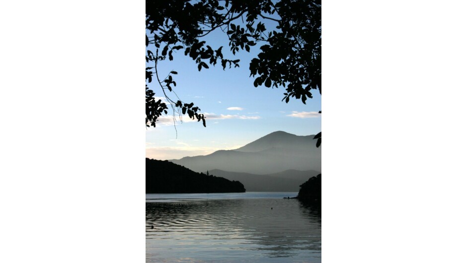 马尔堡峡湾黄昏美景