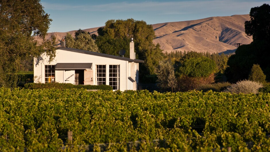 The Woolshed overlooking the Wither Hills Vineyard. Wither Hills are in the background.