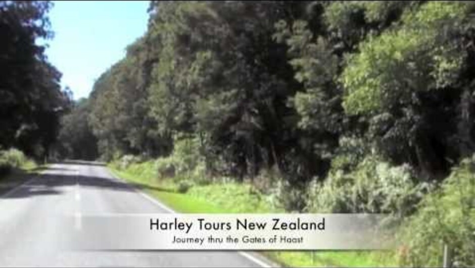 Harley Tours New Zealand   the Gates of Haast