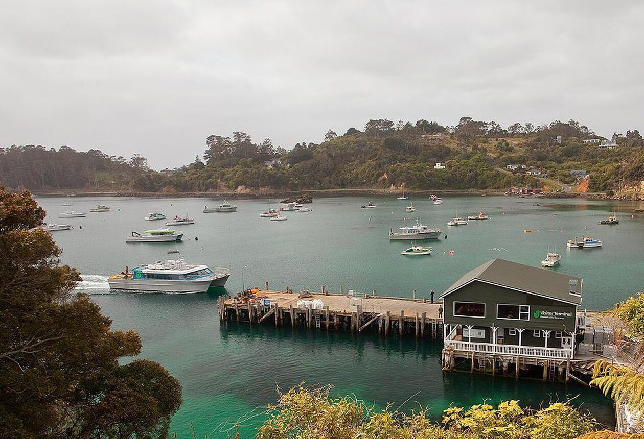 ブラフとスチュアート島の間を年間を通じて毎日定期運航している、高速双胴船フェリーです。1時間の船旅の間に野生動物の姿を探してみましょう。