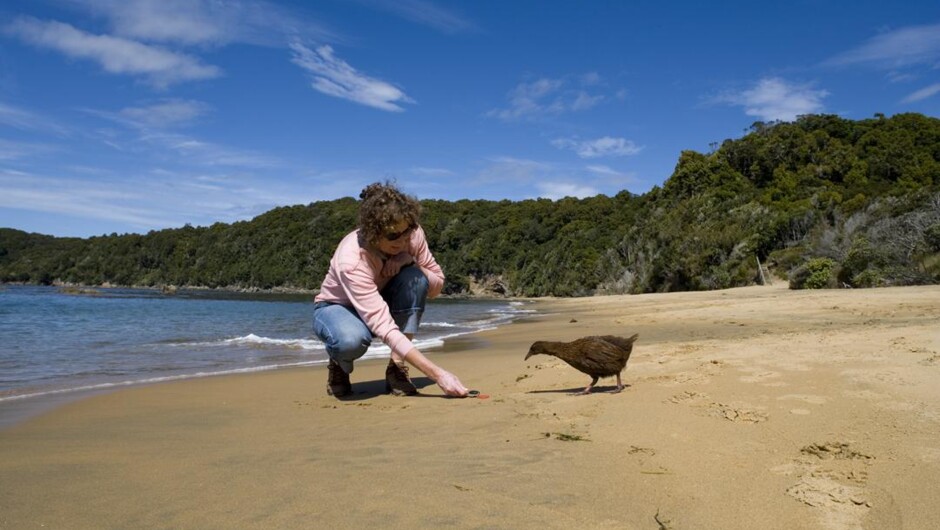 Paterson Inlet Cruises - Stewart Island Experience