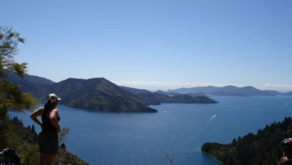 Wow - The Queen Charlotte Walk